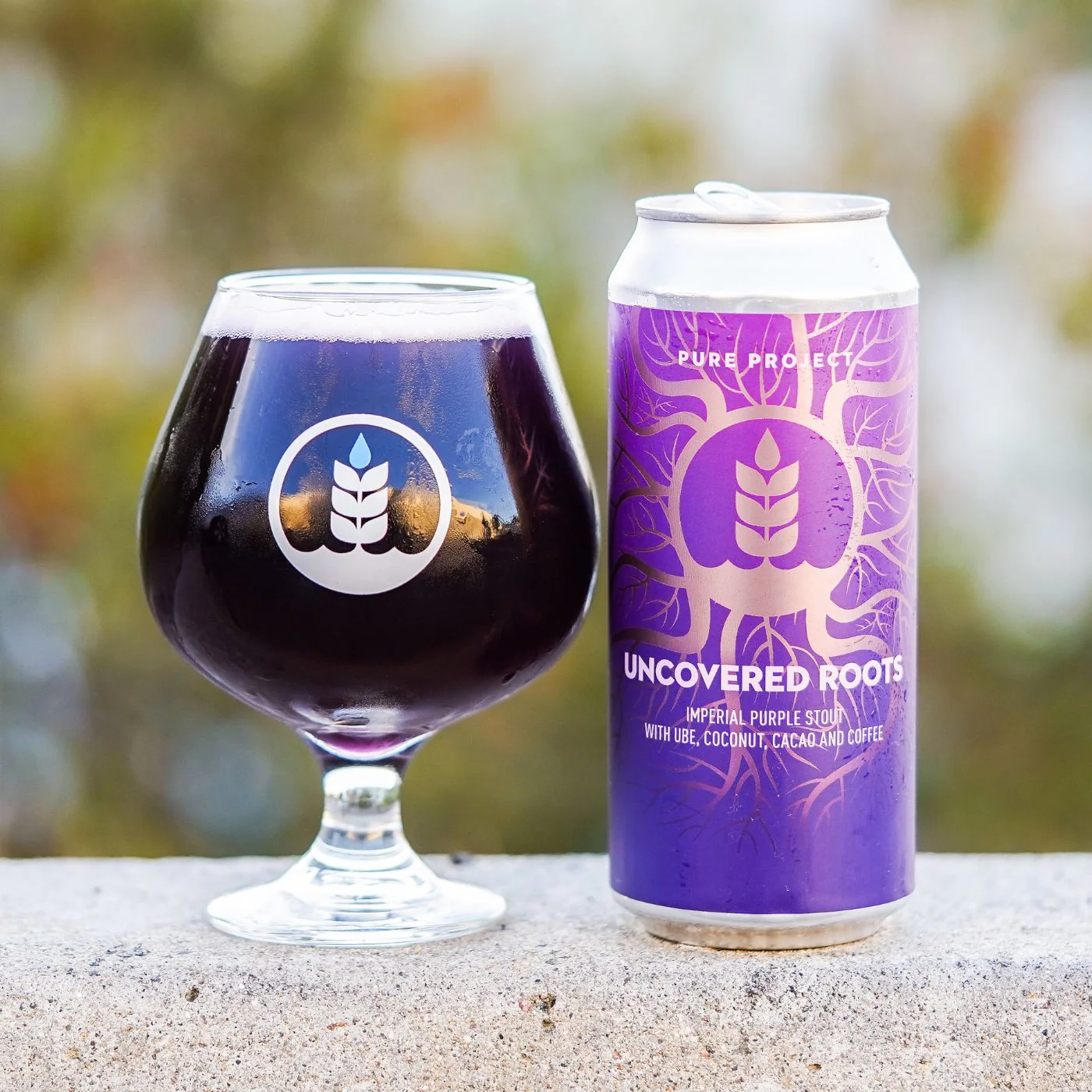 Pure Project Brewing Uncovered Roots Imperial Purple Stout 4 Pack